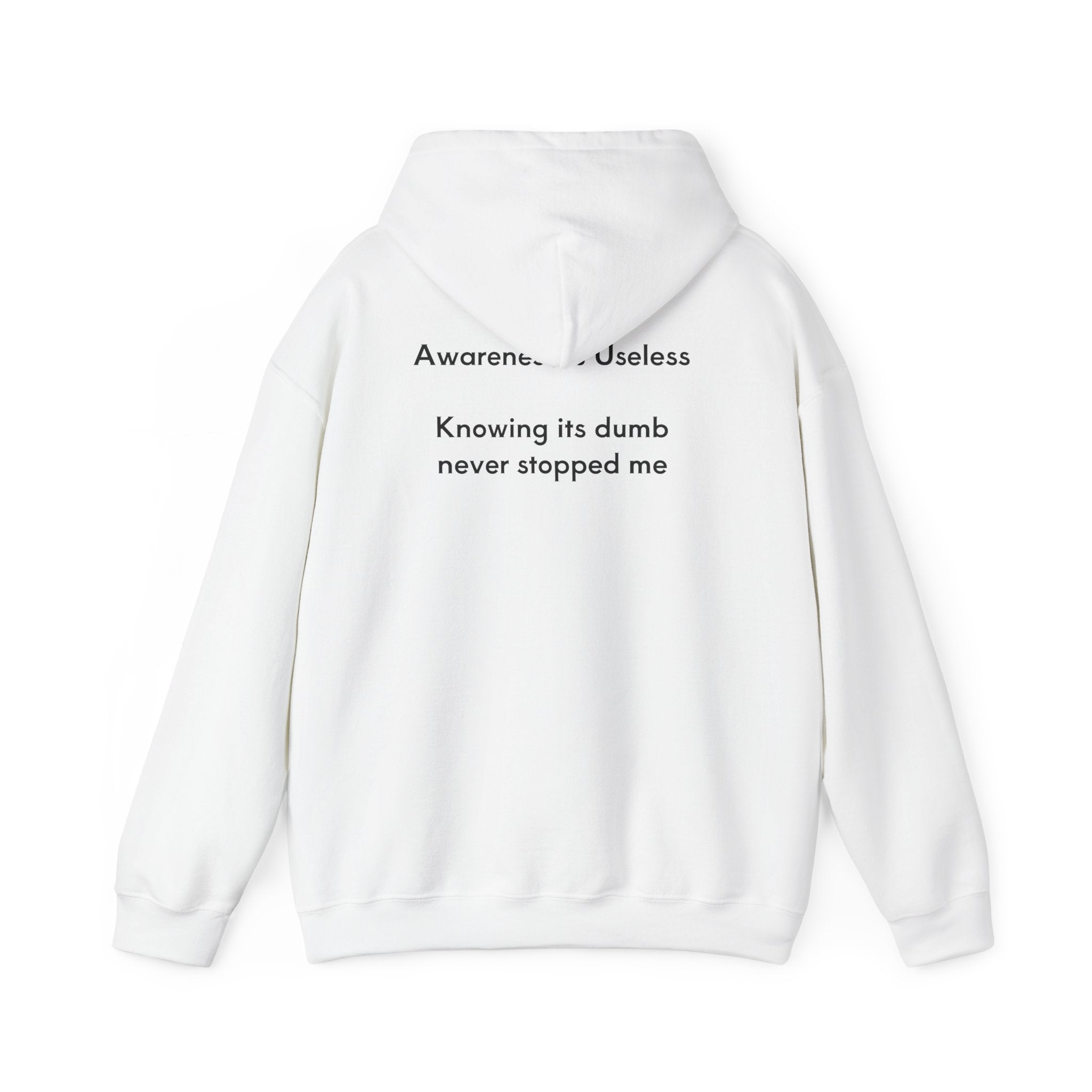 Awareness is Useless  Hoodie