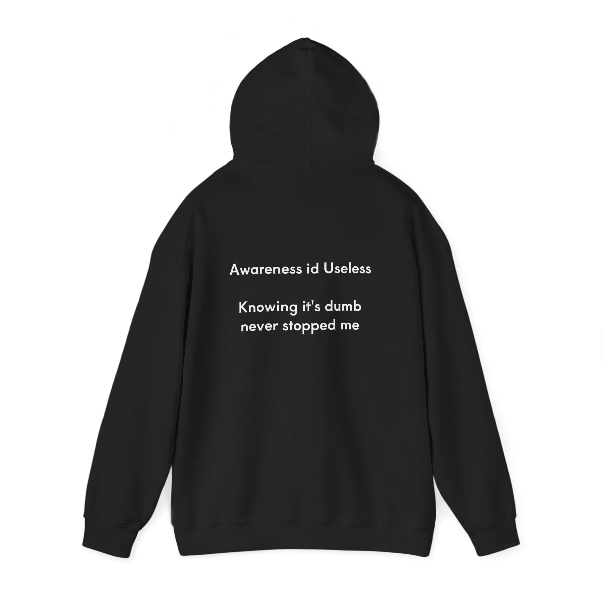 Awareness is Useless  Hoodie